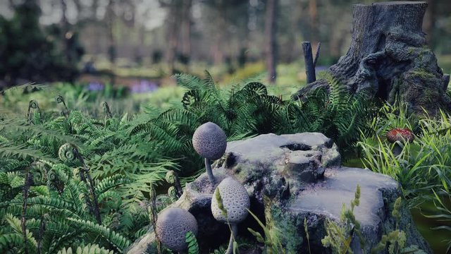 Pine forest walk through - 3d render animation - 3