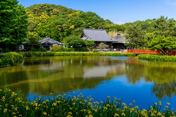 Fototapeta na wymiar 金沢八景・称名寺の庭園