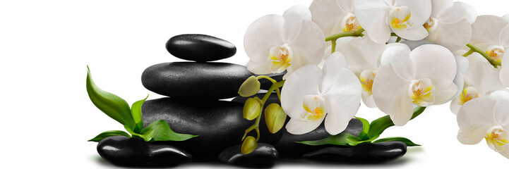 White Orchid flowers on black stones - 351828368