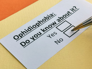 Obraz premium One person is answering question about ophidiophobia.