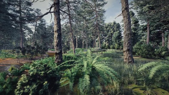 Pine forest walk through - 3d render animation - 5