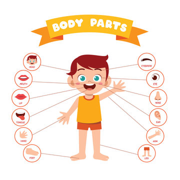 happy cute kid boy body part anatomy