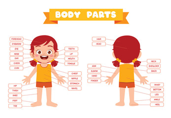 happy cute kid girl body part anatomy