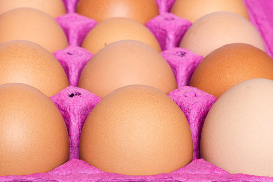 Huevos caf&eacute;s de gallina, en un contenedor de cart&oacute;n