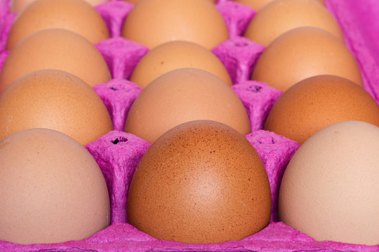 Huevos caf&eacute;s de gallina, en un contenedor de cart&oacute;n