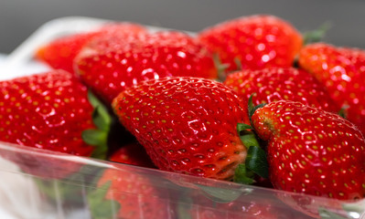 イチゴ　パック詰め