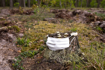 Nature on self-isolation