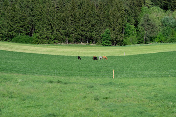 Dietingen bei Rottweil