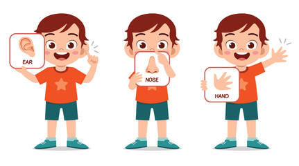 happy cute kid boy body part anatomy