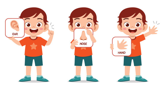 happy cute kid boy body part anatomy