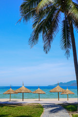 Fototapeta na wymiar Vertical picture of empty beach with palm, umbrella and blue sky scenery, in Nha Trang, Vietnam