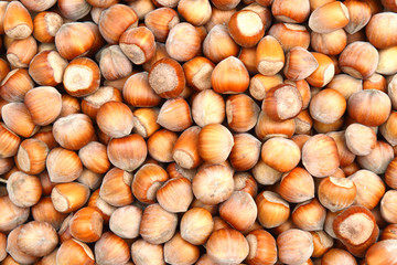 Hazelnuts background.