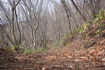 福島県・蓬田岳