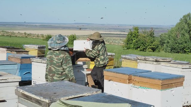 bee-maker beekeeper man lifestyle working of a smoke pipe beeper smoker device for repelling evil bees. slow motion video. apiary. beekeeping concept bee agriculture.