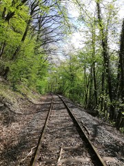 Fototapeta premium Einsame Eisenbahstrecke im Wald