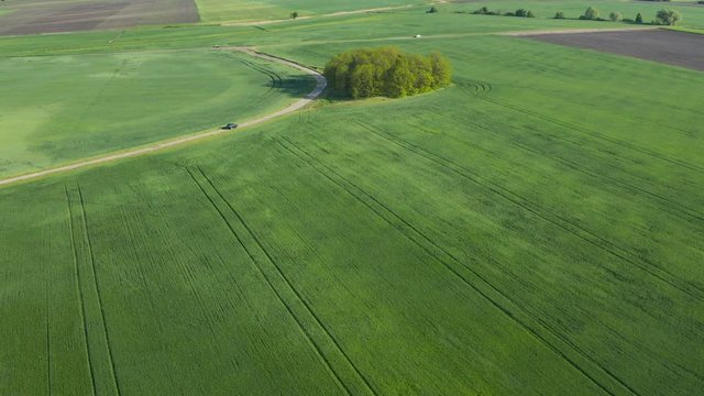 Crop and agriculture concept, drone flying over field countryside at sunny cloudy spring time. Wonderful aerial video for ecological concept.