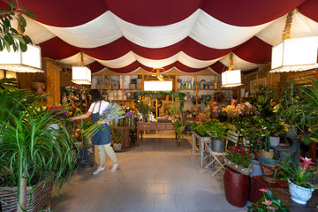 exposition of florist in a local store