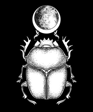 Scarabaeus sacer, Dung beetle. Sacred symbol of in ancient Egypt. Fantasy ornate insects. Isolated vector illustration. Spirituality, occultism, chemistry, occult sun tattoo.