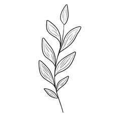 Beautiful monochrome line floral illustration on white background. Hand-drawn leaf. Design greeting card and invitation of holiday. Line art raster illustration.