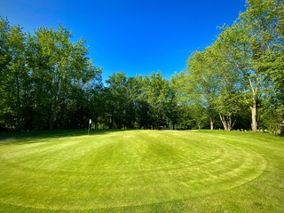 Obraz premium on the green