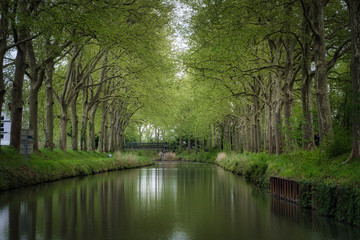 Panorámica del Canal du Midi en Toulouse, Francia. - obrazy, fototapety, plakaty