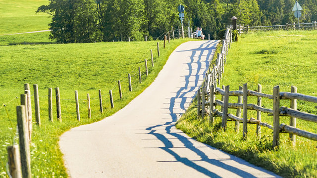 Von der Sonne beschienener Weg f&uuml;hrt zwischen Z&auml;unen in die Ferne