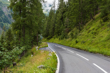 Fototapeta na wymiar Narrow road in the mountains covered with green forest