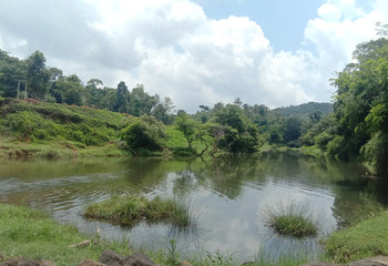 Fototapeta premium to the scenic beauty of the river