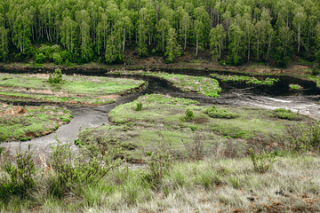 Beautiful landscape with big stones in water riffle of mountain river. Powerful water stream among boulders in mountain creek with rapids. Fast flow among rocks in highland brook. Small river close-up