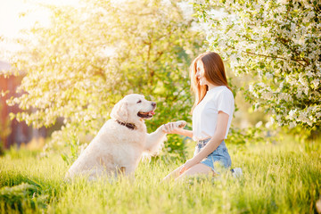 Girl cynologist is training Labrador Retriever dog at give paw team in summer park