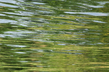 Calm Water Stilles Wasser