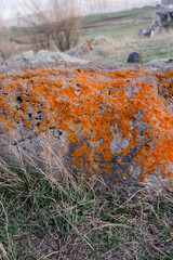 stones