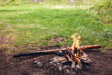 Photo of a bonfire flame in a forest glade. Close-up of fire. Trees, logs and firewood are burning. Camping center.