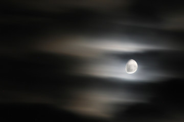 Mond