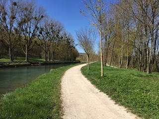 Different stages of spring on the Burgundy Canal near Dijon, France