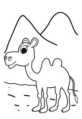 Camel