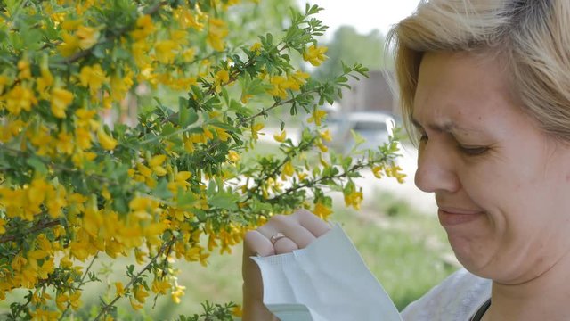 A young woman sniffs the fragrant yellow flowers of acacia and sneezes from an Allergy to pollen. She is forced to put a protective mask on her face and walk away from the flowers. 4K