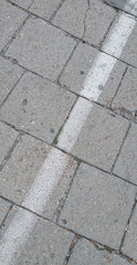 Gray Brick pavement with white diagonal line