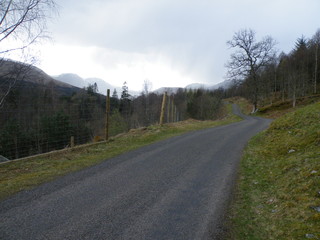 Fototapeta premium Rain over woodland and mountains