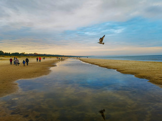 Beach near baltic sea in Swinoujscie in november with walking people and seagull flying and reflecting in puddle