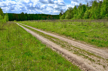 Summer landscape of a green field with a dirt road going into the distance.