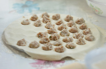  raw minced meat laid out in the form for making ravioli. production ravioli on white background. Cooking food concept. Healthy food. People cooking. Healthy fresh nutrition