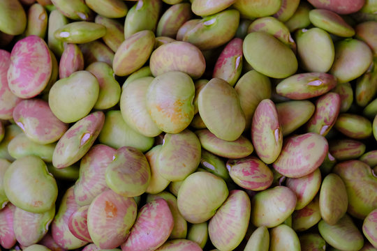 Lima beans texture background from the top view. Healthy fresh lima beans in a greenhouse on an organic farm. Royalty high-quality free stock image of beans. Nature photography.