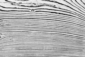 Black and white wooden background. Burnt wood. Wood texture.