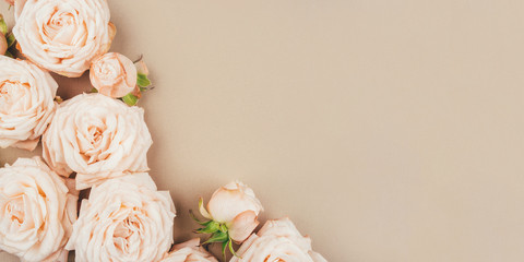 Spring background. Rose flowers on a beige background. Flat lay. Copy space for your text.