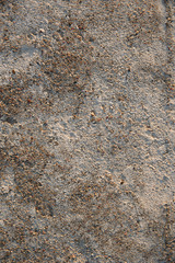 texture, golden sand with small stones, fine sand, textured background, beach, sun, sunset,
