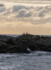  C&ocirc;te, Le Croisic #2