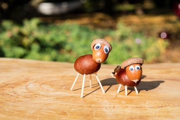 Funny sheep shape characters or figurines made with chestnuts on a wooden background in a sunny day