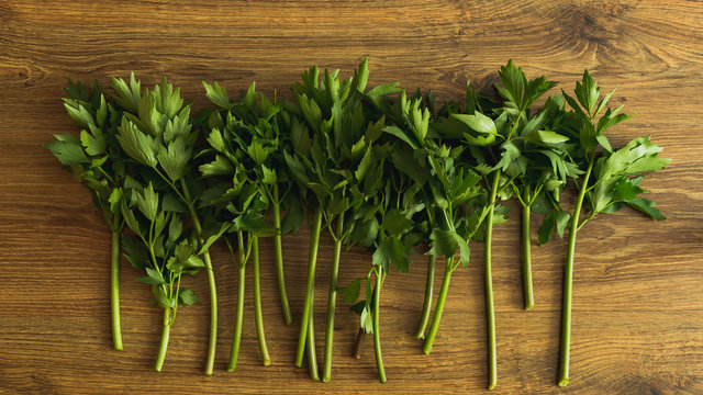 Food background with fresh spring lovage leaves
