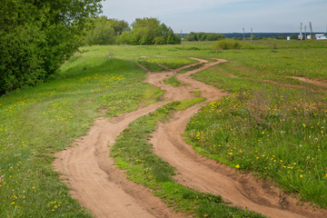 country road in the meadow on a sunny day